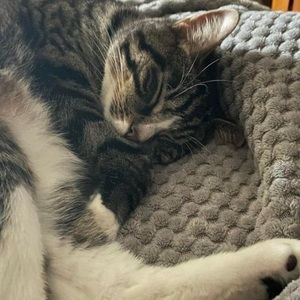 Meet your Posher, Jackson